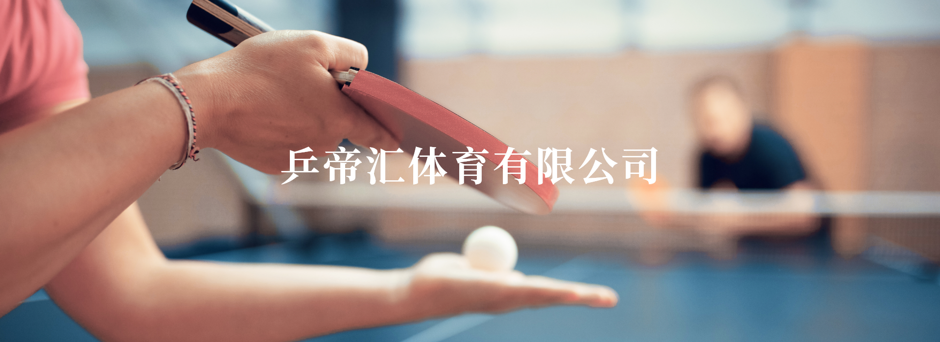 乒帝汇体育有限公司